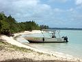 25 - Mangrove 028